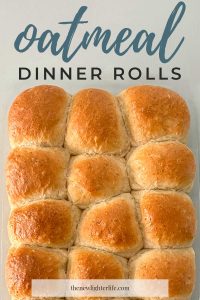 Oatmeal Dinner Rolls Recipe