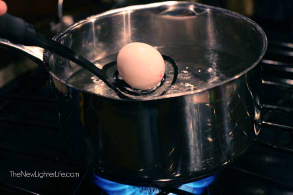 Placing-Eggs-in-Boiling-Water