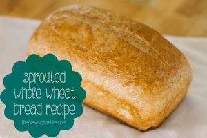 Sprouted Whole Wheat Bread Recipe