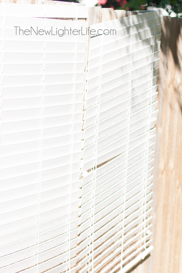 Blinds Drying