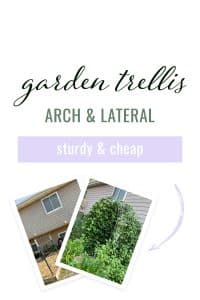 How to Build a Cattle Panel Trellis Arch