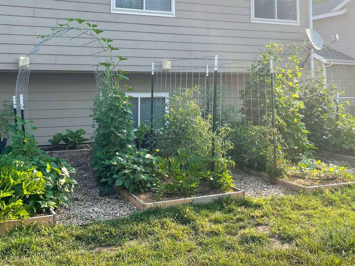 How To Build A Cattle Panel Trellis Arch