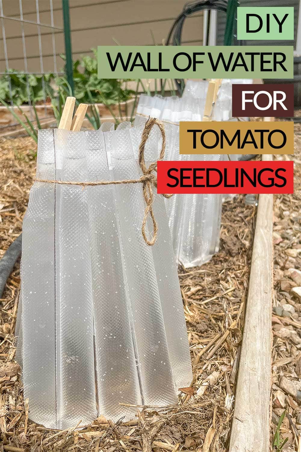 diy tomato planter