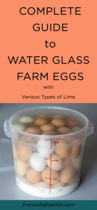 How to Properly Preserve Eggs by Water Glassing