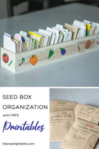 Never Miss a Planting Date – Seed Storage Box Organization!