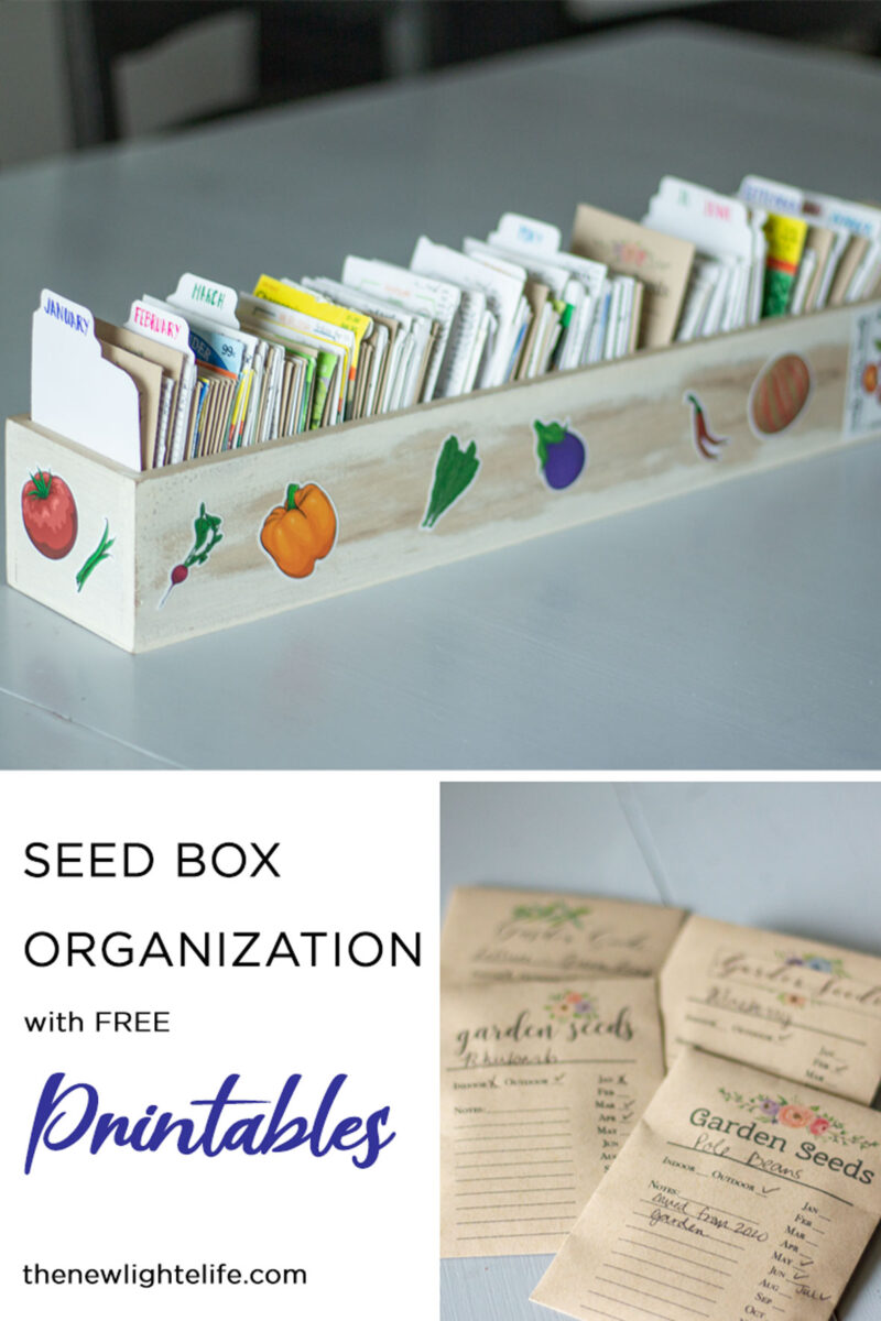 Never Miss a Planting Date - Seed Storage Box Organization!