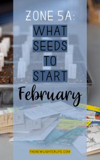 Seeds to Start in February: Zone 5A