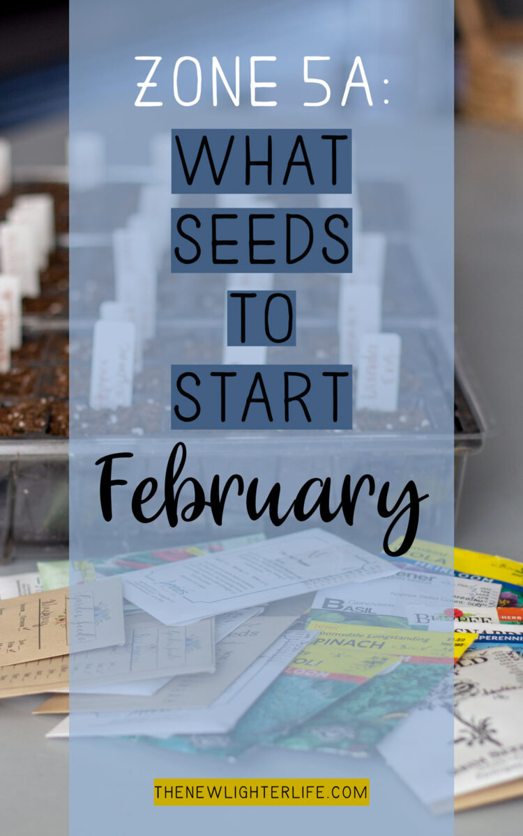 seeds to start in february