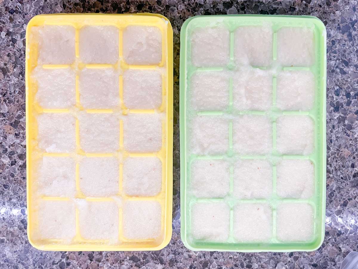 freezing garlic in ice cube trays - One Hundred Dollars a Month