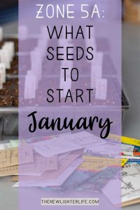 Seeds to Start in January – Zone 5A