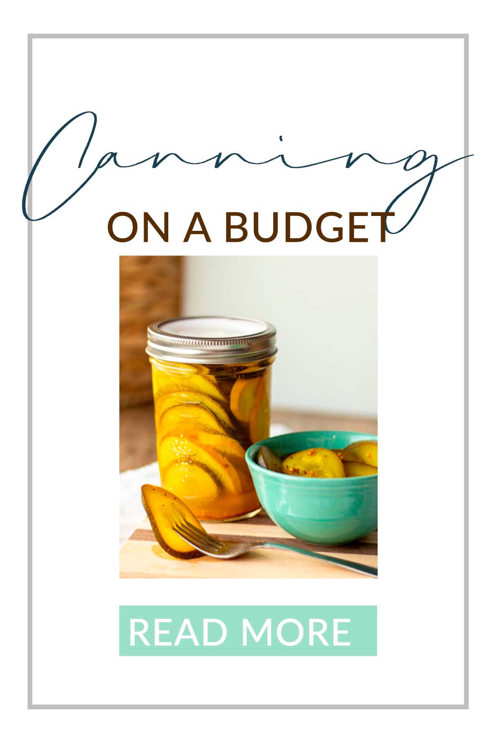 https://thenewlighterlife.com/wp-content/uploads/2023/05/canning-on-a-budget-pinterest.jpg