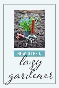 Guide to Being a Successful Lazy Gardener