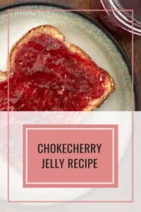 Chokecherry Jelly How-To
