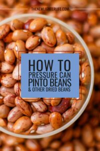 Easy Guide to Canning Pinto Beans (& Other Dried Beans)